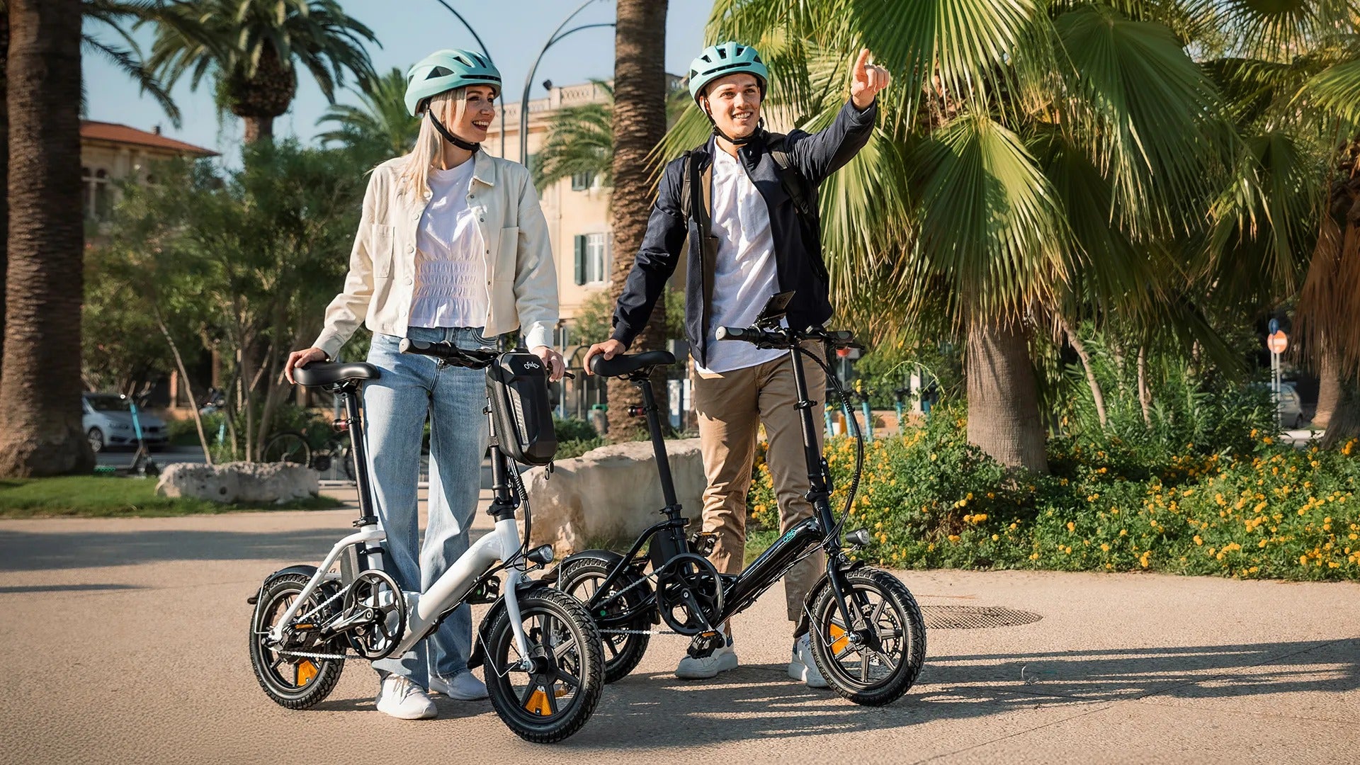 Fiido D3 Pro Mini E-Bike